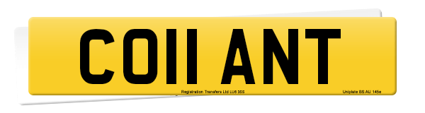 Registration number CO11 ANT